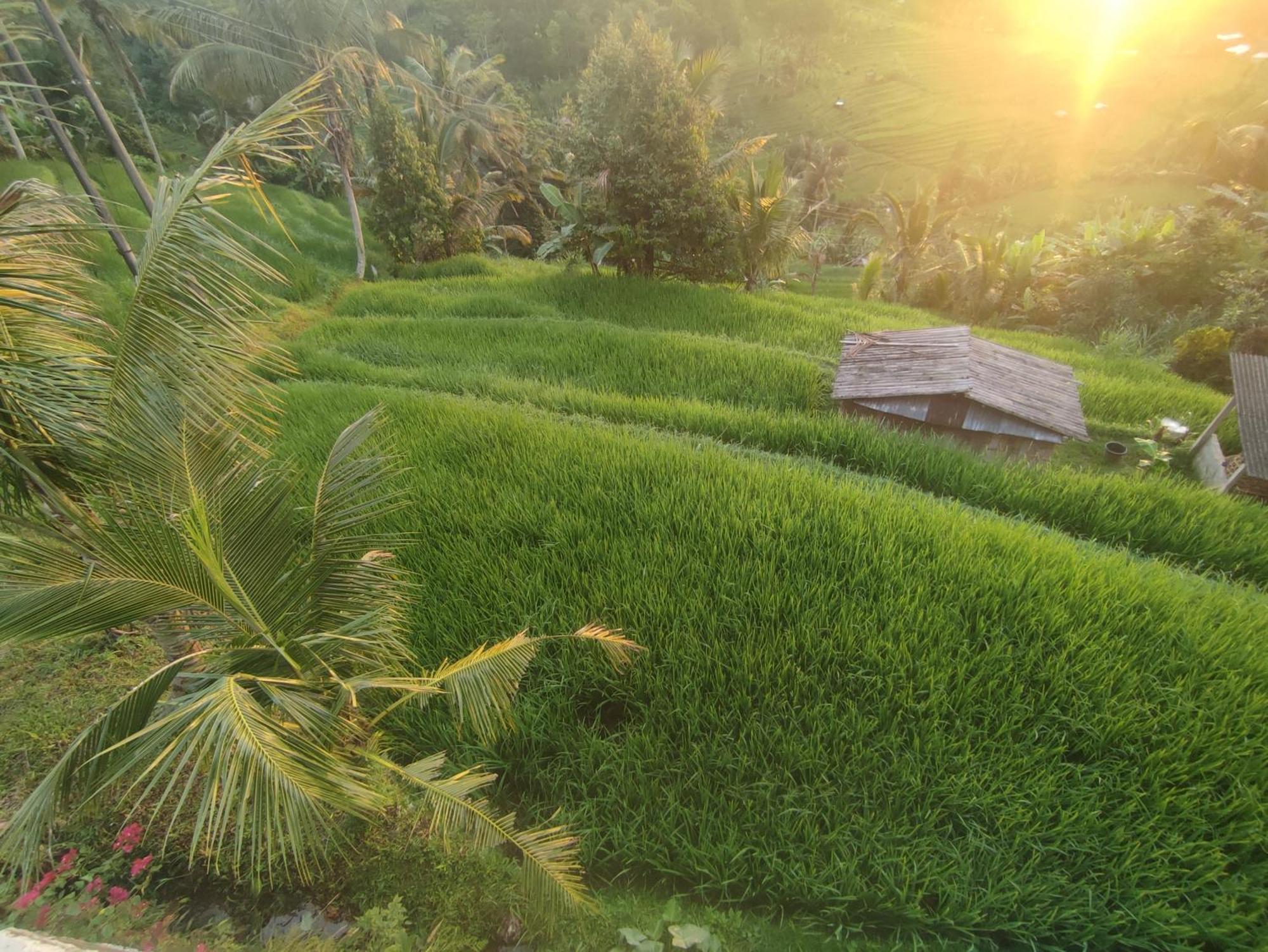Gunza Bed And Breakfast جاتيلويه المظهر الخارجي الصورة